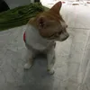 hiepnscm9ug