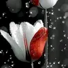 user1174612813195