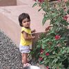user49108295011335