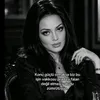 daisy__135