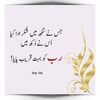 nisar8481