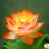 m.ngoc720