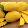 mango_lovers7