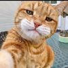 arash6536