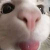 rrainbowrubsvy