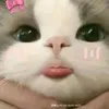 loan.nguyen0967