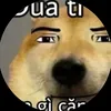 hunh.b.t