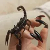 chaymaa_chaymaa12