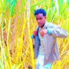 bakarwoya