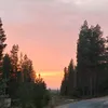 aaro.nissinen
