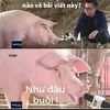 bim.cute12