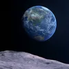 edelmaus2024