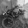 vantyz057