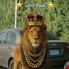 7anamohamed