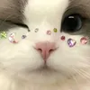mlplayer.tiktok24