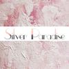 silverparadiseshop