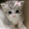 hello0_042