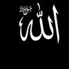 mouhamed.sall788
