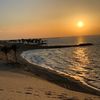 abo_hekal_711