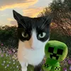 memosik85