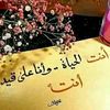 user3155431283991