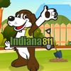 indiana811official
