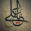 um.ali341
