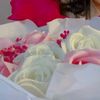 najwa.mohammed76