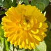 naturalbeauty38841