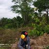 mgaungphyo2011