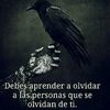 user34416095222311