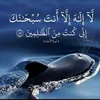 ibrahim_2005sh