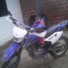 luissin65