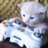 jugadordexbox0
