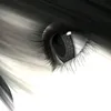 _9.z.a