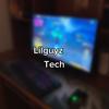 lilguyz.tech