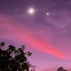 _lired11
