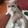 sleepychanx