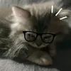 yeoubi.m0