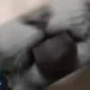 .nkhiem