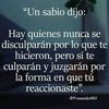 sandraolachia3