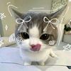 saaaaaa_475