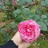 asiah.yusuf1