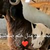user4670987466638