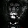 user73573028617883