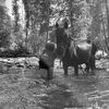 daisyvs_equitation