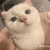 herrandonly