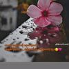 khaing4710