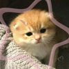 anoud_m69
