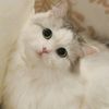 secret9__3